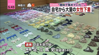 Illustration for article titled Peculiar Things Seized by Japanese Police
